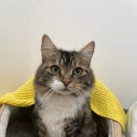 Photo of Apollo And Odette