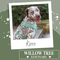 Photo of Kirra