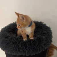 Photo of Vance Meet Me@Petstock Hastings Store 17/5