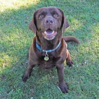 Photo of Coco