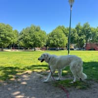 Photo of Lucy