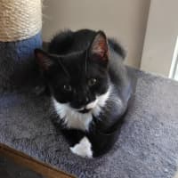 Photo of Rocket 🚀