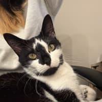 Photo of Lotti