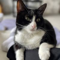 Photo of Penelope Babbington