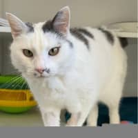 Photo of Casper