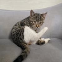 Photo of Adeline
