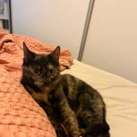 Photo of Tilly