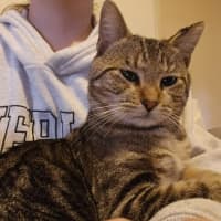 Photo of Stormy 🌩️