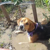 Photo of Lola Wilberforce