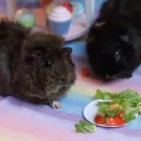 Photo of Violet & Edmund