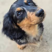 Photo of Bread Crumb