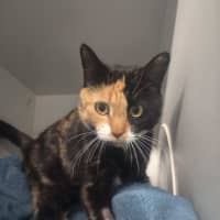 Photo of Monique