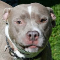 Photo of Wilma