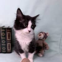 Photo of Gracie May 🌷