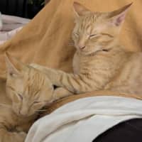 Photo of Fred & George (Aka Quentin & Quigley)