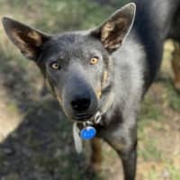 Photo of Bazza