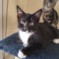 Photo of 🌸 Delta 🌸