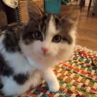 Photo of Stormy Von Bunny Bum 