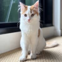Photo of Butter