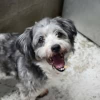 Photo of Charlie