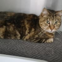 Photo of Marley