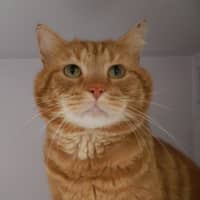 Photo of Ed