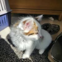 Photo of Smore