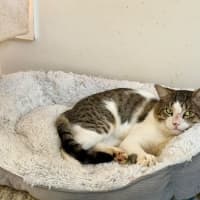 Photo of Hermes