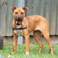 Photo of Lulu