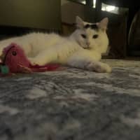 Photo of Dottie