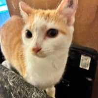 Photo of Dorothy (Dotty)