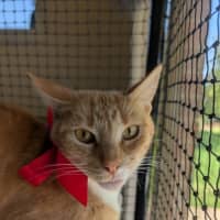 Photo of Bertie And Ocean