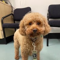 Photo of Belle And  Twaylah