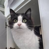 Photo of Skittles