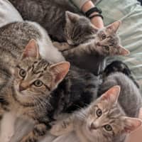 Photo of Maya Scotty