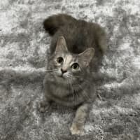 Photo of Snowy