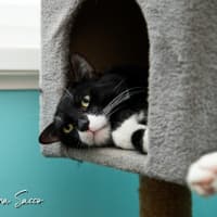 Photo of Frankie