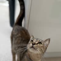 Photo of Sally Field (9004)