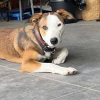 Photo of Turbo