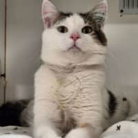 Photo of Snowy