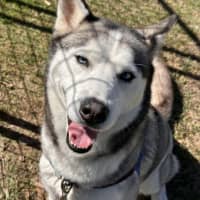 Photo of Freya