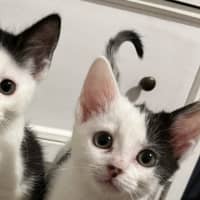 Photo of Adelina & Flora