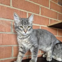 Photo of Winter! ❄️