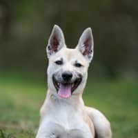 Photo of Missy