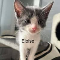Photo of Eloise