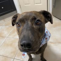 Photo of Arlo