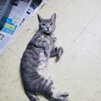 Photo of Rosie 