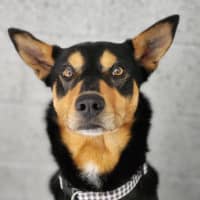 Photo of 🥜 Peanut 6978 🥜