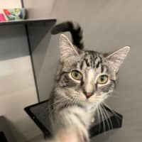 Photo of Annabelle