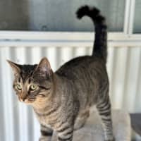 Photo of Albie